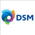 DSM icon