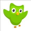 Duolingo icon