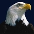 Eagle Adjusting Services icon