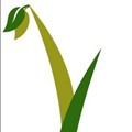 Early Growth Financial Services icon