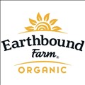 Earthbound icon