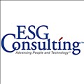 ESG Consulting icon