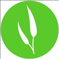 Eucalypt Media icon