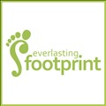 Everlasting Footprint icon
