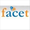 Facet icon