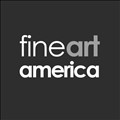 Fine Art America icon