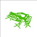 Frog Design icon