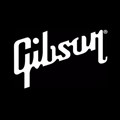 Gibson Guitar Corporation icon