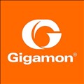 Gigamon icon