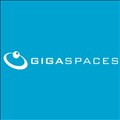 GigaSpaces icon