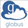 Globus icon