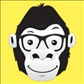 GoGorilla Media icon
