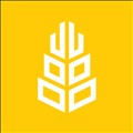 Grain App icon
