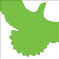 Green Bird Media icon