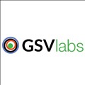 GSVlabs icon