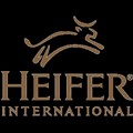 Heifer International icon