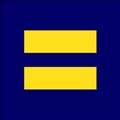 Human Rights Campaign icon