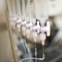 Hydra Biosciences icon