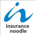 Insurance Noodle icon