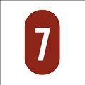 Level7 icon