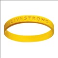 LIVESTRONG Foundation icon