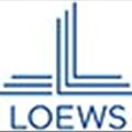 Loews Corporation icon