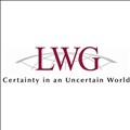 LWG Consulting icon