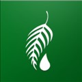 Melaleuca icon