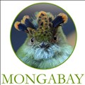 Mongabay icon