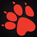 Naughty Dog icon