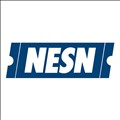 NESN icon