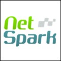 NetSpark icon