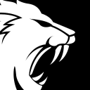 Night Lion Security icon