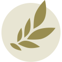 Ocata Therapeutics icon