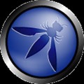 Open Web Application Security Project icon
