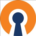 OpenVPN icon