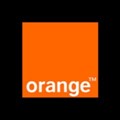 Orange icon