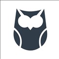 Owl icon