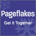 Pageflakes icon