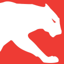 Panther Systems icon