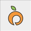 PeachWorks icon