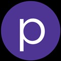 PlumChoice icon