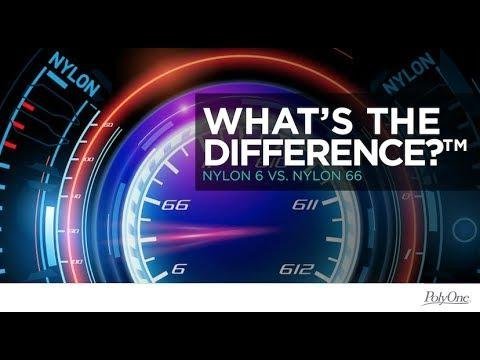   Senior VP & Chief Human Resources Officer