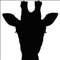 Savanna icon