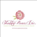 Shabby Roses icon