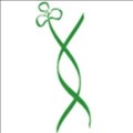 Shamrock Structures icon
