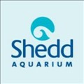 Shedd Aquarium icon