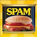 SPAM icon