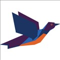 Starling icon