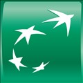 BNP Paribas icon